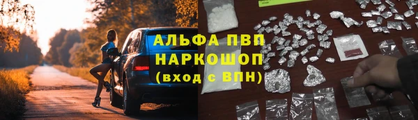 гашик Гусев