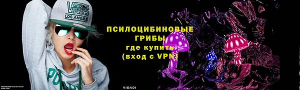 мяу мяу мука Горно-Алтайск