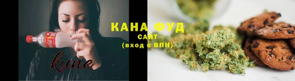 гашик Гусев