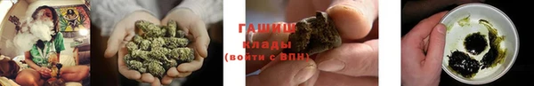 мяу мяу мука Горно-Алтайск