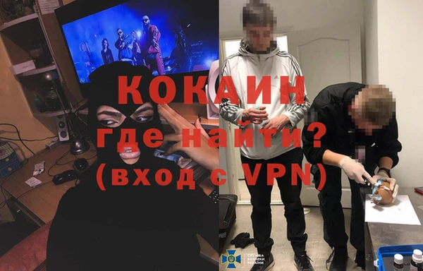 мяу мяу мука Горно-Алтайск